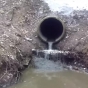 Очистные сооружения Апрелевки, превращают реку Десну в выгребную яму